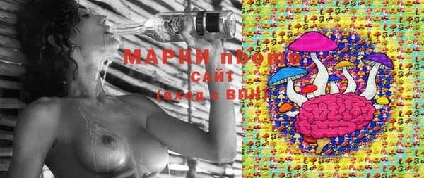 каннабис Алексеевка
