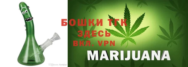 СК Алексин