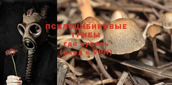 скорость Алзамай